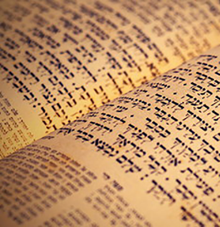 Jewish Studies - Undergraduate Programs | Hofstra University
